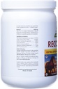 purica-equine-hyaluronic-acid---horse-jo-4.jpg
