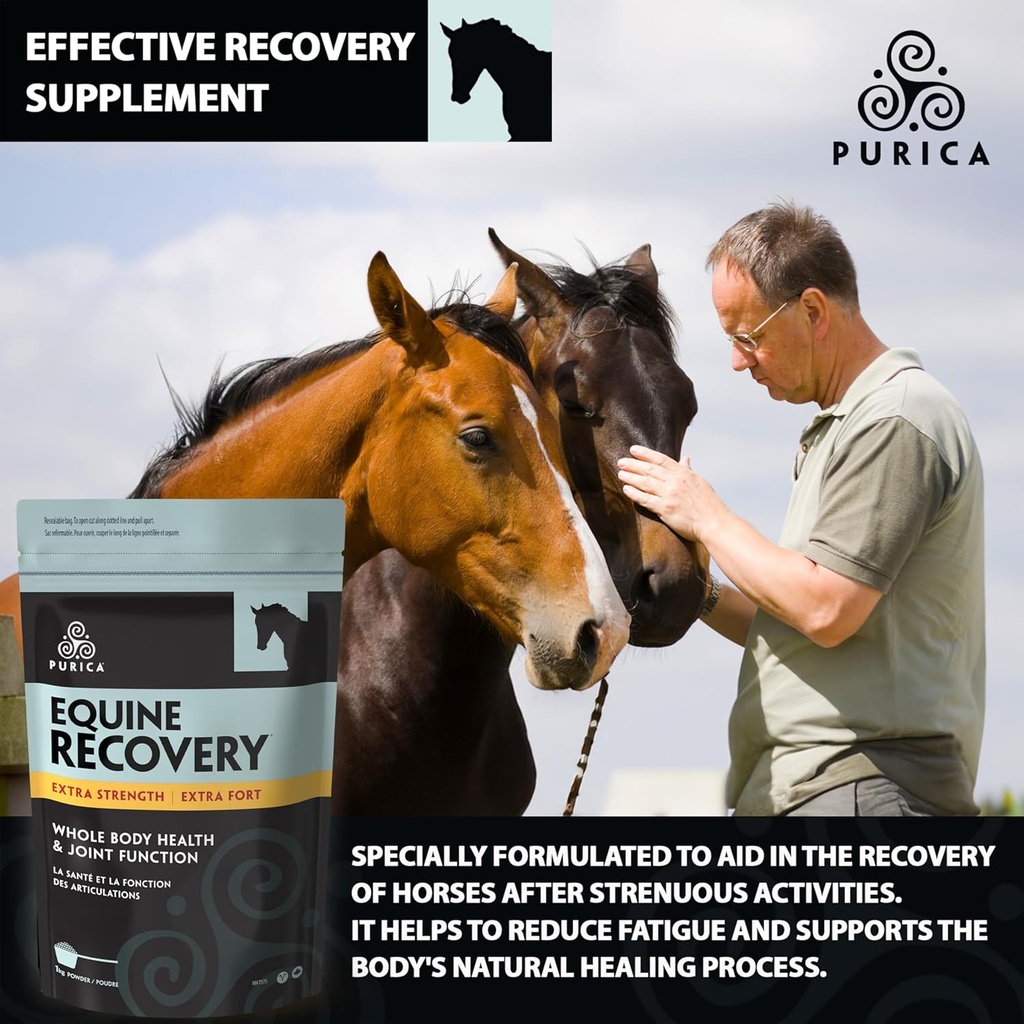 purica-equine-hyaluronic-acid---horse-jo-5.jpg