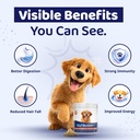 boltz-pre-probiotics-for-dogs-200g-9b-cf-81-WeE3FSLL.jpg