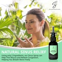 sinus-relief-spray-w-nano-silver-only-2--810U3fH2jbL.jpg