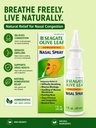 seagate-products-homeopathic-olive-leaf--717elnrn2nL.jpg