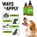 dog-antibiotics-for-infections-kennel-co-81lluu08JxL.jpg