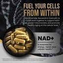 dlnia-liposomal-nad-supplement-nmn-alter-81GJUhnxJiL.jpg