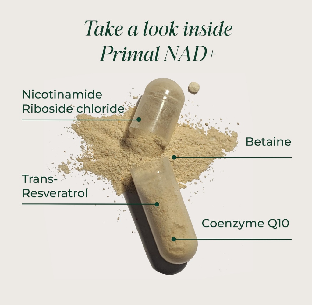 primal-harvest-nad-daily-vegan-supplemen-71pZR+1vpML.jpg