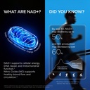 nad-supplement-for-men-liposomal-nad-nmn-71TR9swXnJL.jpg