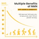 sublingual-nmn-500mg-nmn-supplement-120--61HRuGOsxBL.jpg