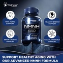 wellness-labsrx-nmnh-supplements-di-hydr-814VLe7eA7L.jpg