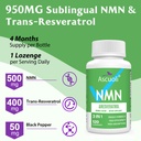 sublingual-nmn-resveratrol-supplement-95-71dq-0bF8RL.jpg