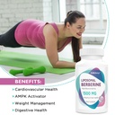 konefancy-liposomal-berberine-supplement-71sG4xWm9DL.jpg