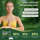 nad-supplement-liposomal-nicotinamide-ri-71quFK2Q3fL.jpg