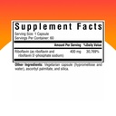 seeking-health-riboflavin-b2-400-mg-60-v-71gmM2NkVML.jpg