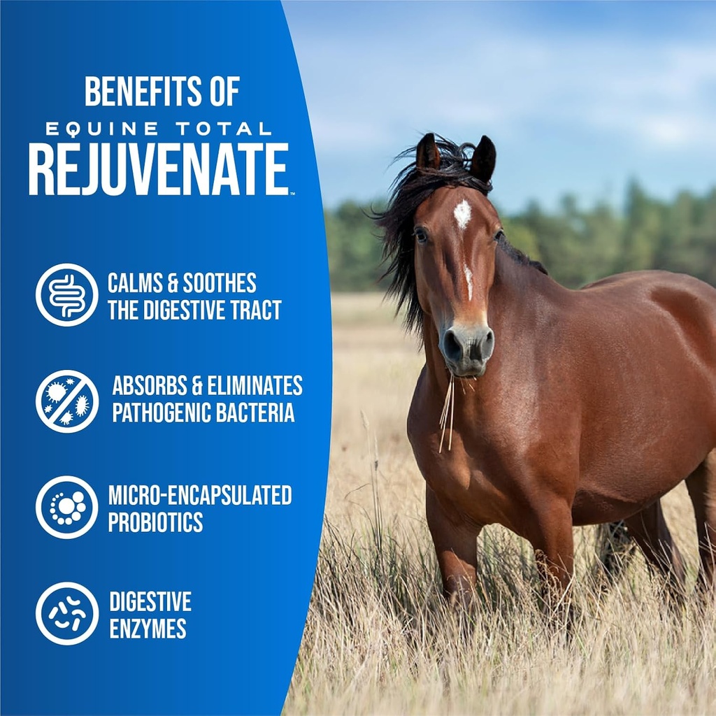 equine-total-rejuvenate-equine-oral-past-3.jpg