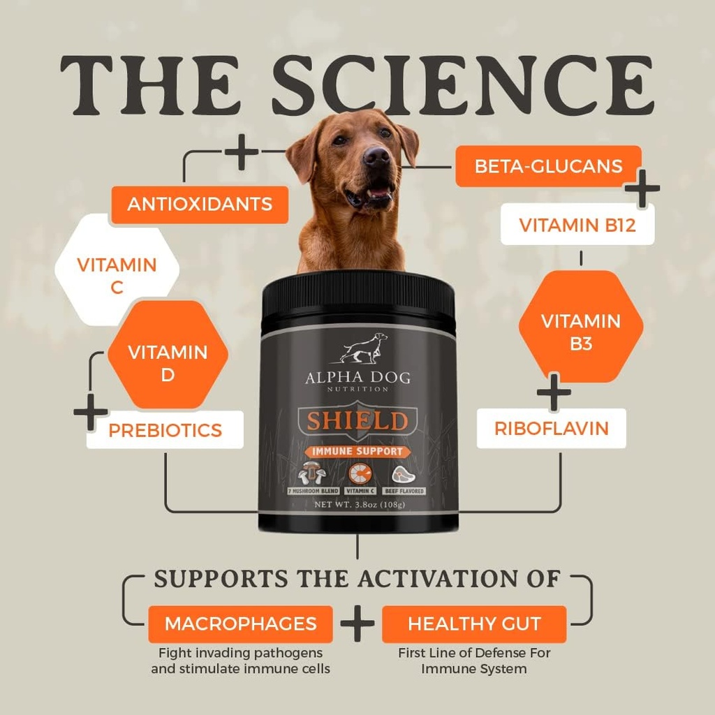 shield-allergy-immune-support-supplement-2.jpg