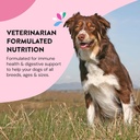dog-gut-health-probiotics-supplement-imp-5.jpg