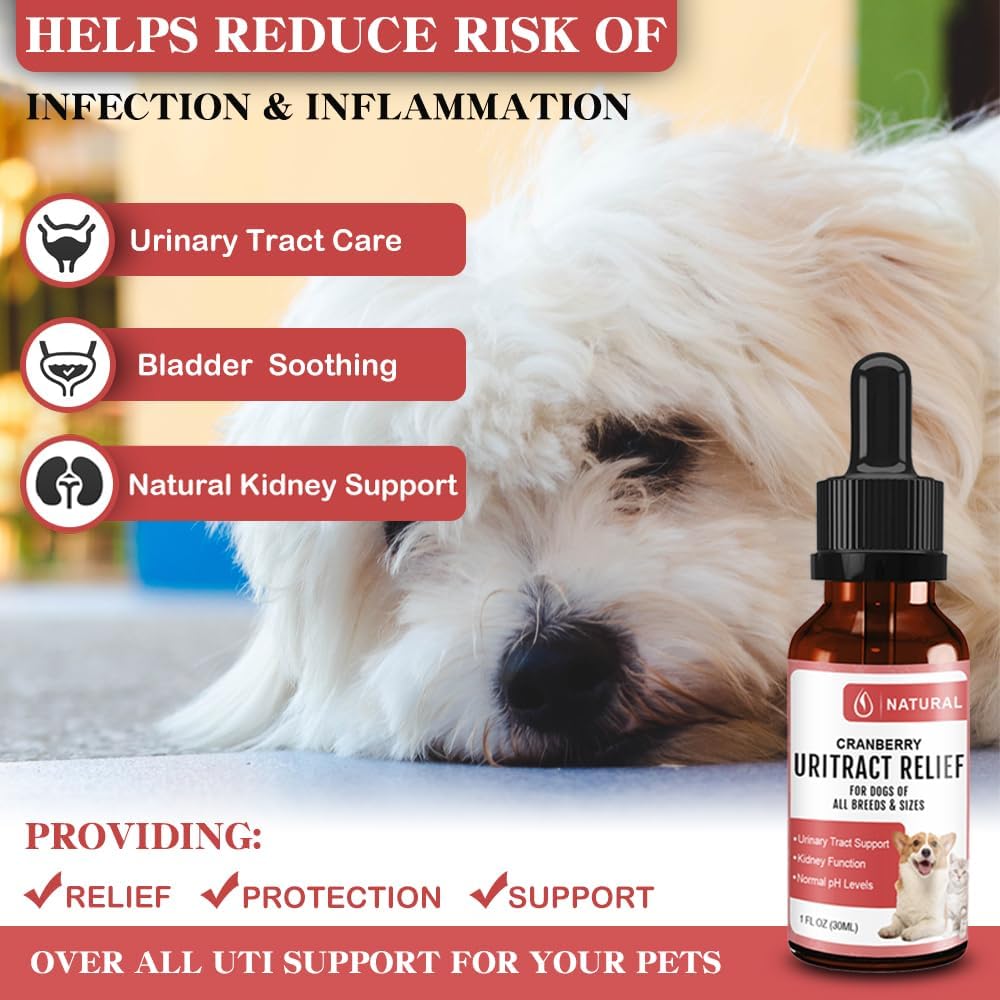 dog-uti-treatment-pet-renal-health-uti-c-2.jpg