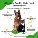 pet-wellbeing-immune-sure-for-dogs---sup-3.jpg