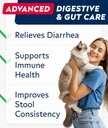 strellalab-cat-probiotic-powder---probio-3.jpg