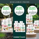 daily-fruits-and-veggies-supplement---36-5.jpg