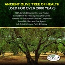 olive-leaf-capsules-bulk-1000-ct---550-m-5.jpg