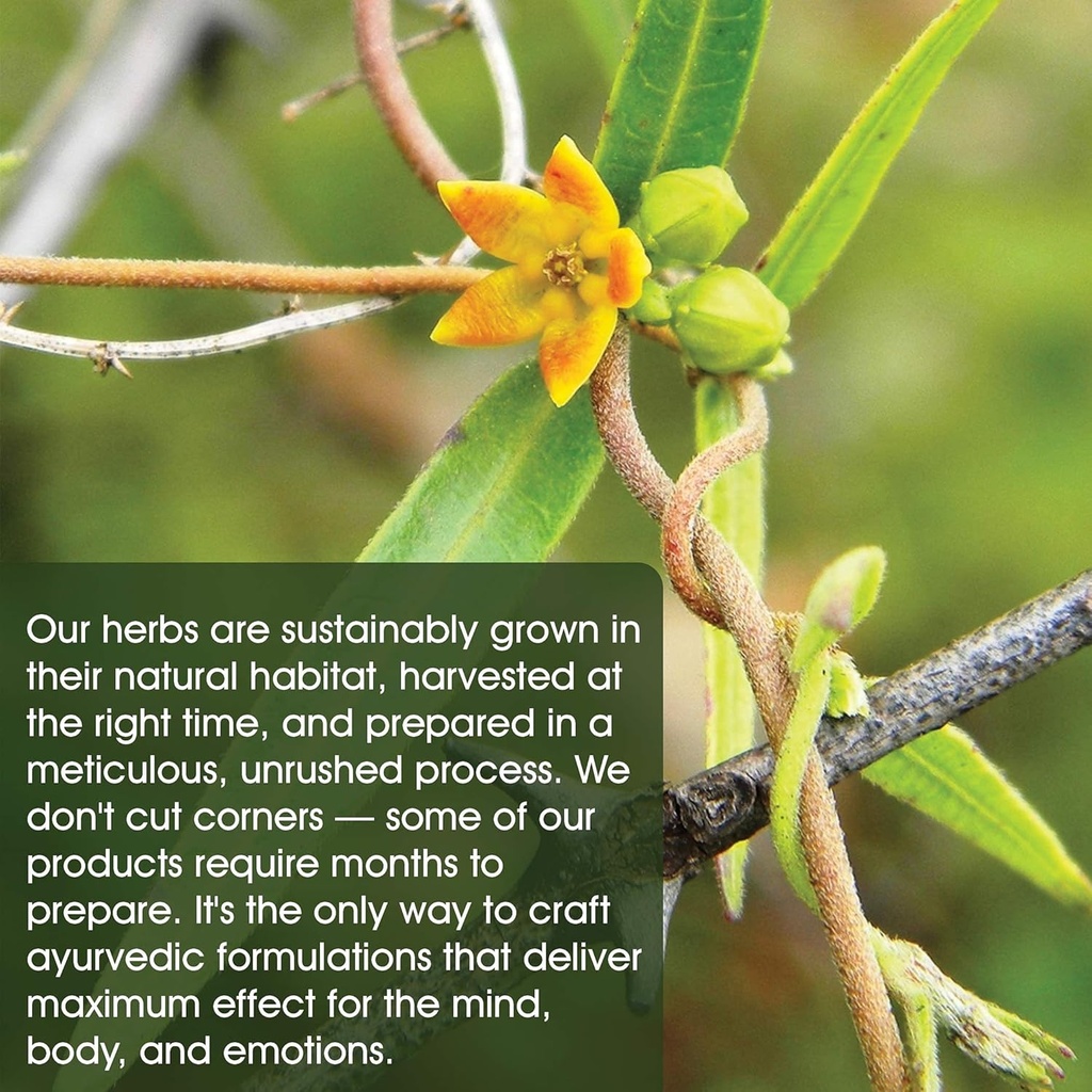 maharishi-ayurveda---elim-tox-o-gentle-b-4.jpg