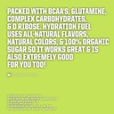 ryno-power-hydration-fuel-electrolyte-dr-4.jpg