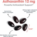 allergy-research-group-astaxanthin-12mg--5.jpg