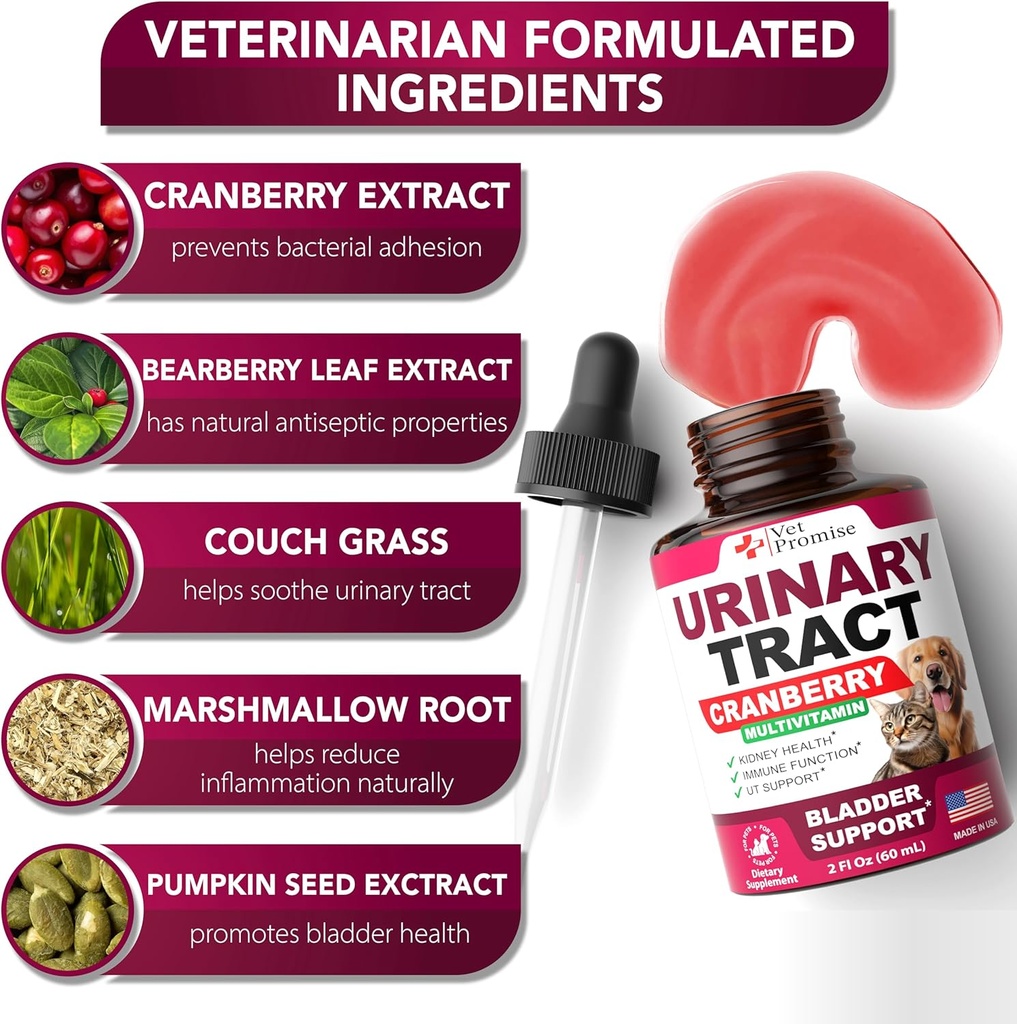 cat-dog-uti-treatment---urinary-tract-in-3.jpg