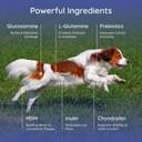 petralyte-dog-electrolyte-and-joint-supp-2.jpg