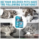 liquid-iron-supplements-for-cats-and-dog-3.jpg