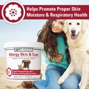 vet-classics-allergy-skin-coat-support-p-3.jpg