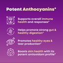 all-in-one-superfood-bundle---super-maqu-4.jpg