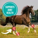 camelina-oil-for-horses-1-gallon-by-olim-2.jpg