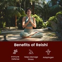rooted-reishi-mushroom-extract-powder-he-6.jpg
