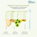 alchemlife-flexiqule-max---fast-acting-e-5.jpg