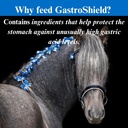 su-per-gastroshield-equine-probiotics-po-5.jpg