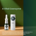 nad-spray-100-sprays-nicotinamide-adenin-5.jpg