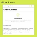 chlorophyll-liquid-drops---body-deodoriz-2.jpg