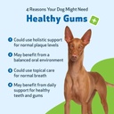 pet-wellbeing-healthy-gums-for-dogs---gu-3.jpg