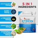 stress-relief-ashwagandha-gummies---form-2.jpg