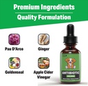 natural-dog-antibiotics---antibiotics-fo-5.jpg