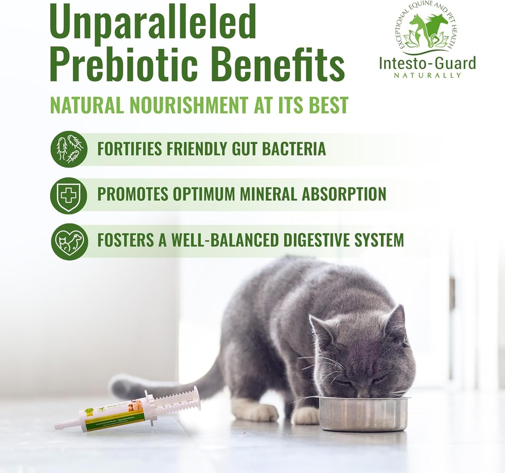 probiotics-paste-for-dogs-prebiotic-for--3.jpg