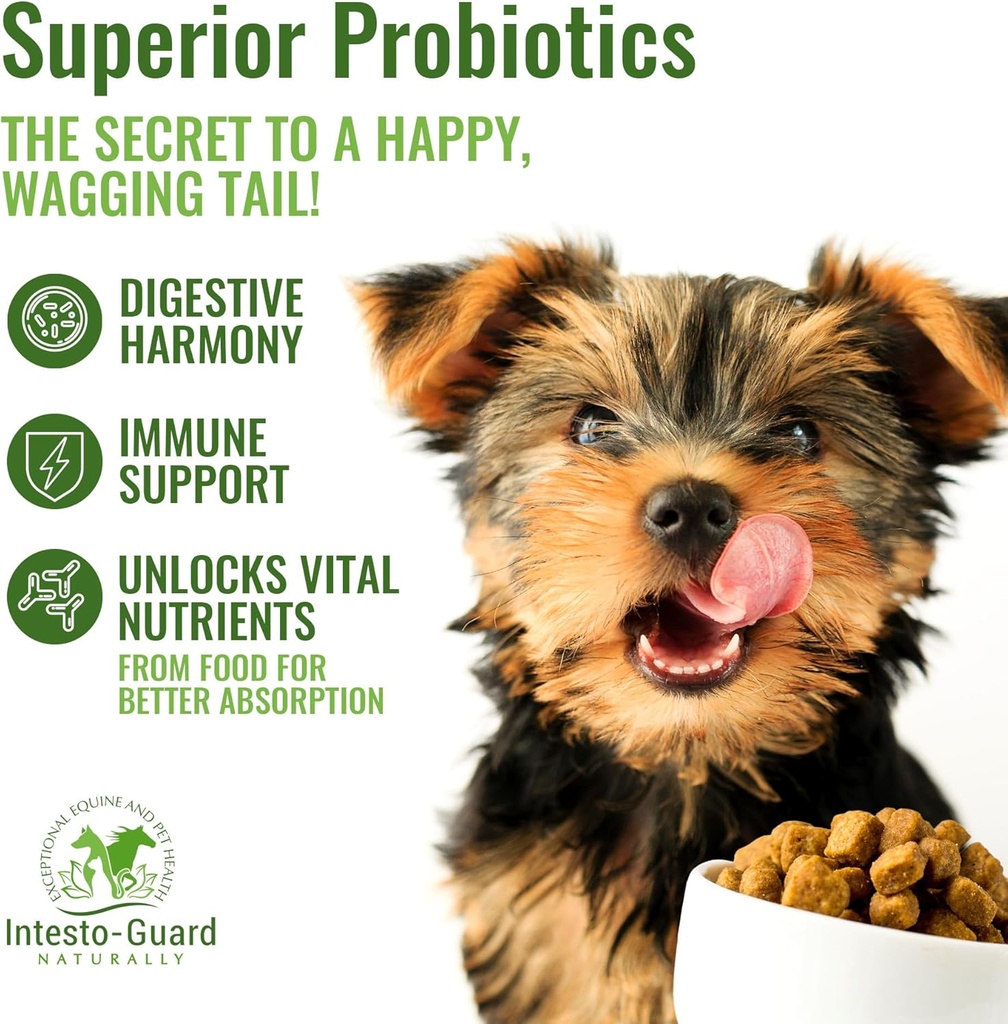 probiotics-paste-for-dogs-prebiotic-for--4.jpg
