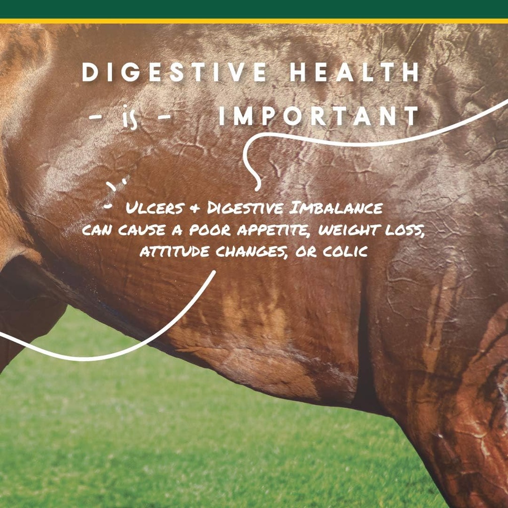 corta-flx-u-gard-powder-equine-digestive-3.jpg