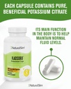 naturalslim-natural-potassium-citrate-gl-4.jpg