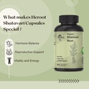 organic-shatavari-root-500mg-asparagus-r-4.jpg