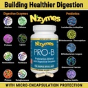nzymes-pro-b-probiotics-and-digestive-en-3.jpg