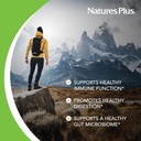 naturesplus-advanced-therapeutics-ara-6--3.jpg