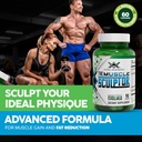 vital-alchemy-the-muscle-sculptor-muscle-2.jpg