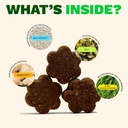 get-joy-digestion-chews-gut-health-suppl-5.jpg