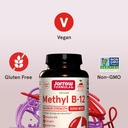 jarrow-formulas-maximum-strength-methyl--5.jpg